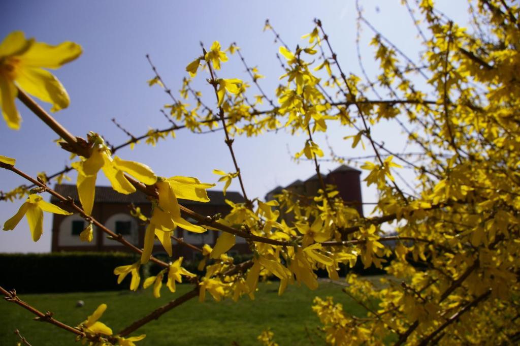 Agriturismo Cascina Nuova Villa Valenza Bagian luar foto