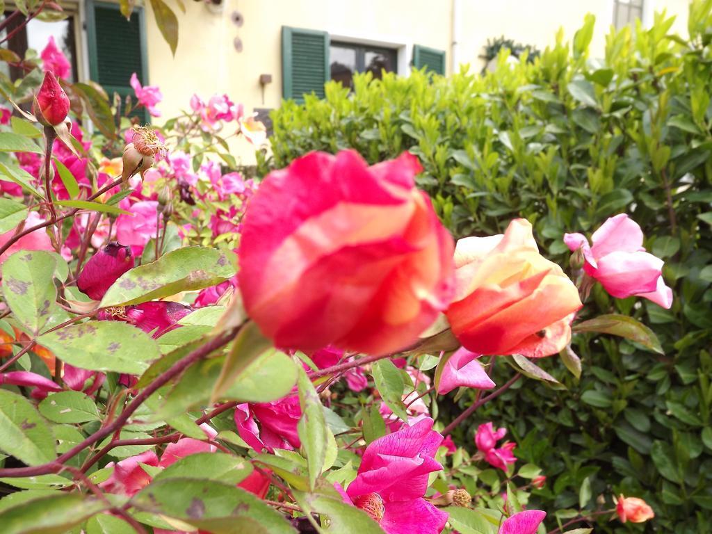 Agriturismo Cascina Nuova Villa Valenza Bagian luar foto