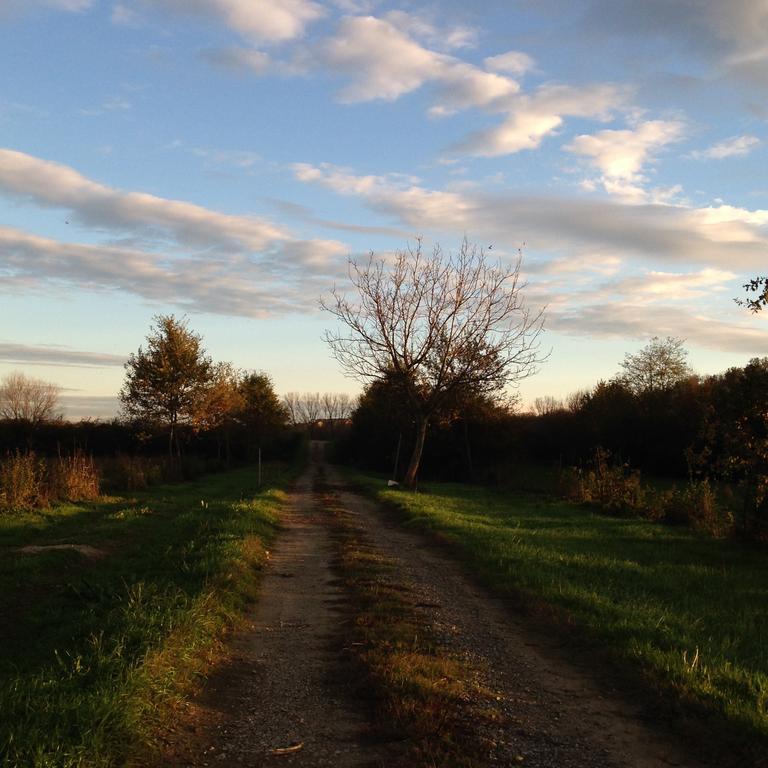 Agriturismo Cascina Nuova Villa Valenza Bagian luar foto
