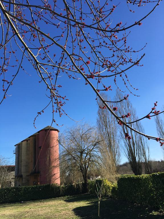 Agriturismo Cascina Nuova Villa Valenza Bagian luar foto