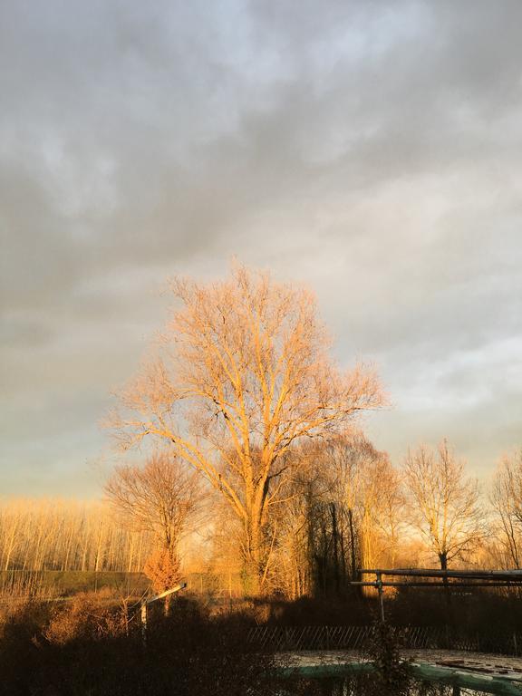Agriturismo Cascina Nuova Villa Valenza Bagian luar foto