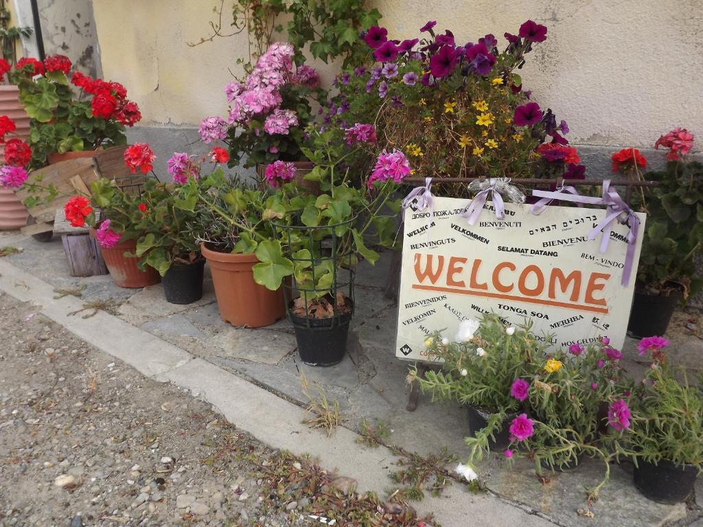 Agriturismo Cascina Nuova Villa Valenza Bagian luar foto